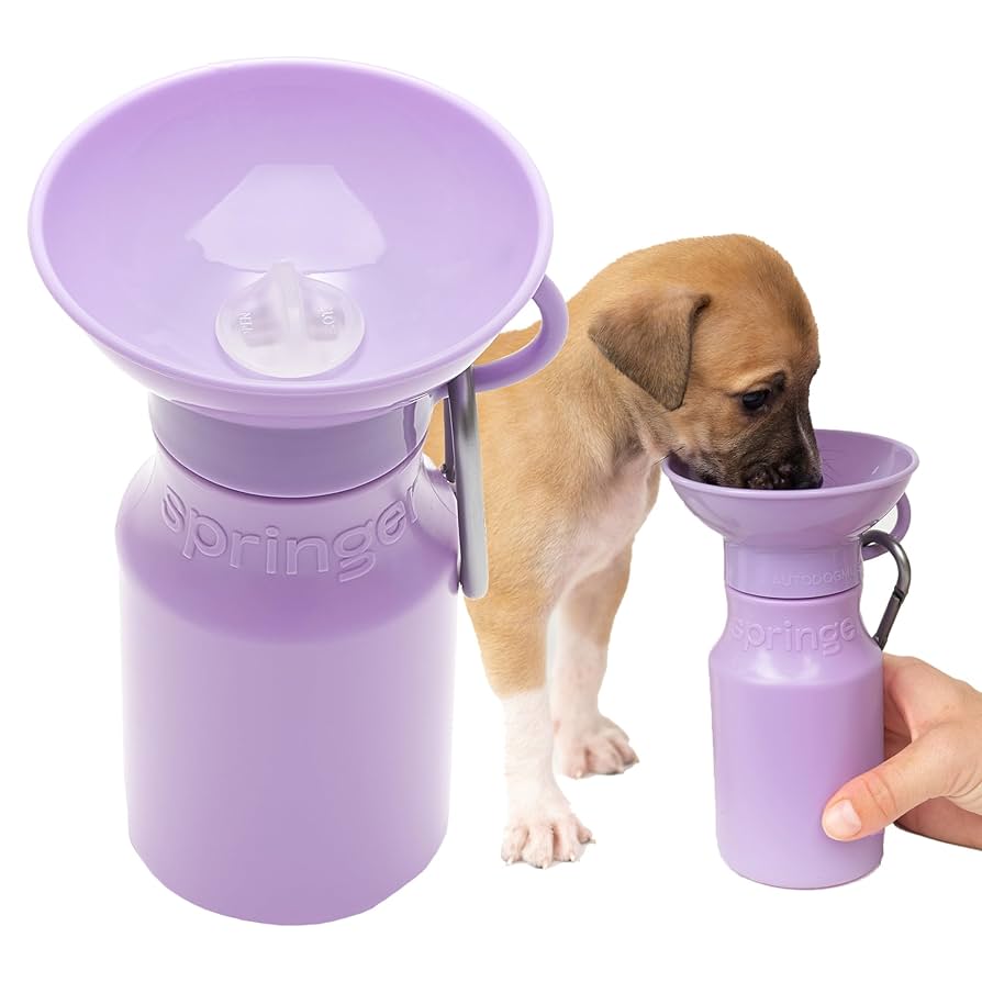 Pet Supplies : Springer Dog Water Bottle | Portable Travel